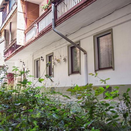 Seek And Hide - Csilla'S Tiny Hideaway Braşov Exterior foto