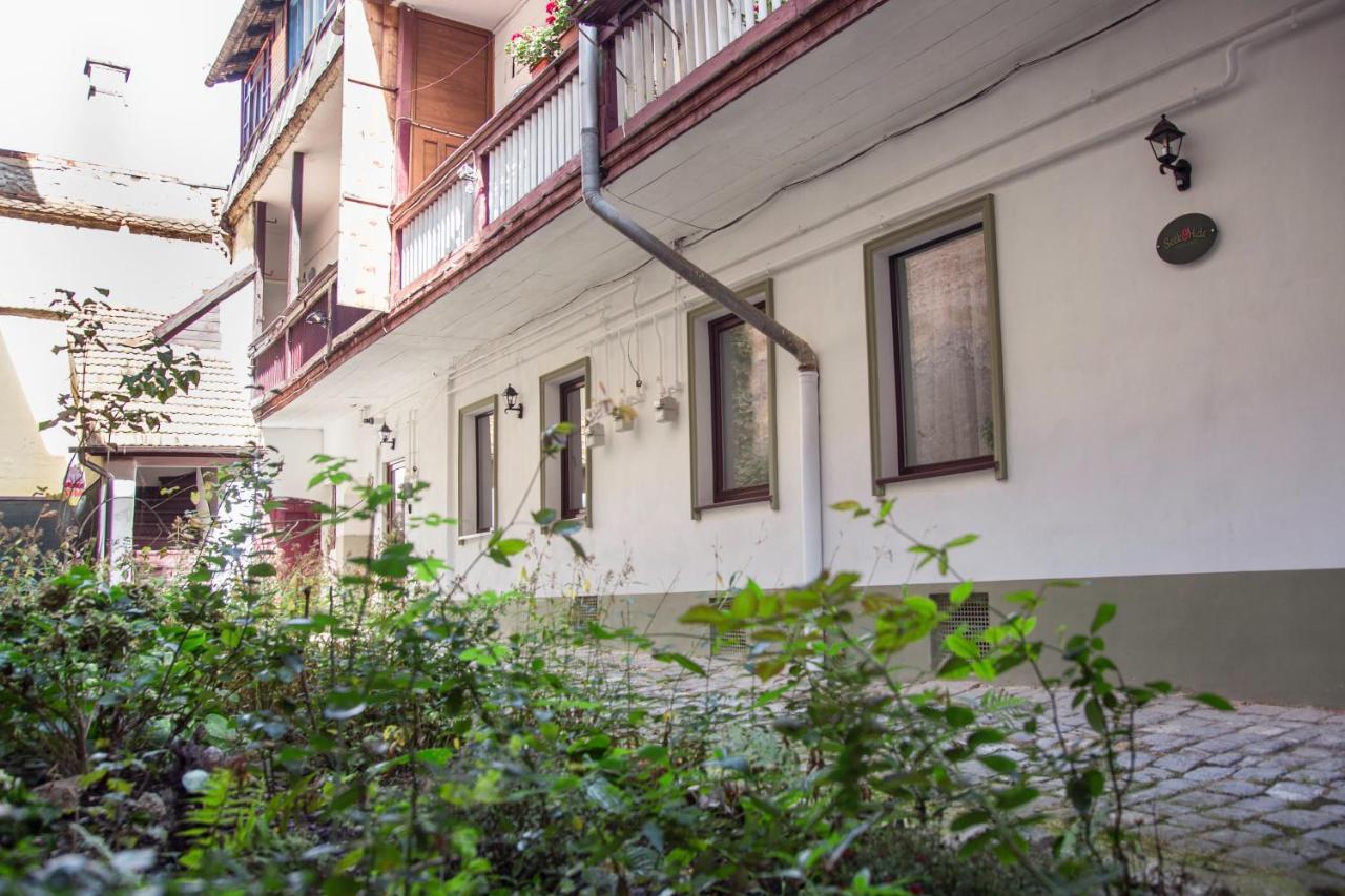 Seek And Hide - Csilla'S Tiny Hideaway Braşov Exterior foto